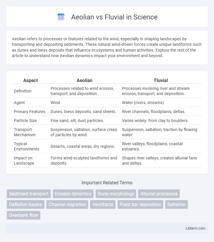 Fluvial vs Aeolian in Science - What is The Difference?
