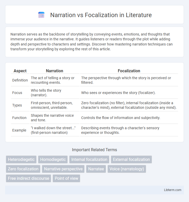 Focalization vs Narration in Literature - What is The Difference?