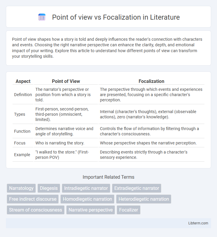 Focalization vs Point of view in Literature - What is The Difference?