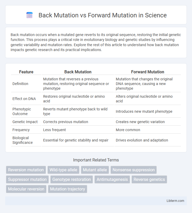 Forward Mutation vs Back Mutation in Science - What is The Difference?