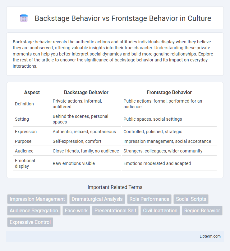 Frontstage Behavior vs Backstage Behavior in Culture - What is The Difference?