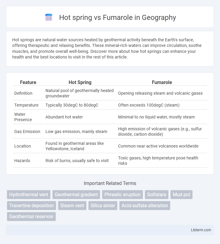 Fumarole vs Hot spring in Geography - What is The Difference?