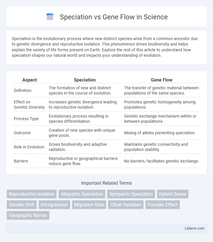 Gene Flow vs Speciation in Science - What is The Difference?