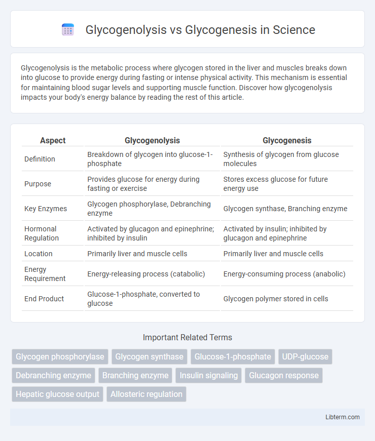 Glycogenesis vs Glycogenolysis in Science - What is The Difference?