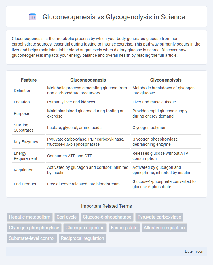 Glycogenolysis vs Gluconeogenesis in Science - What is The Difference?