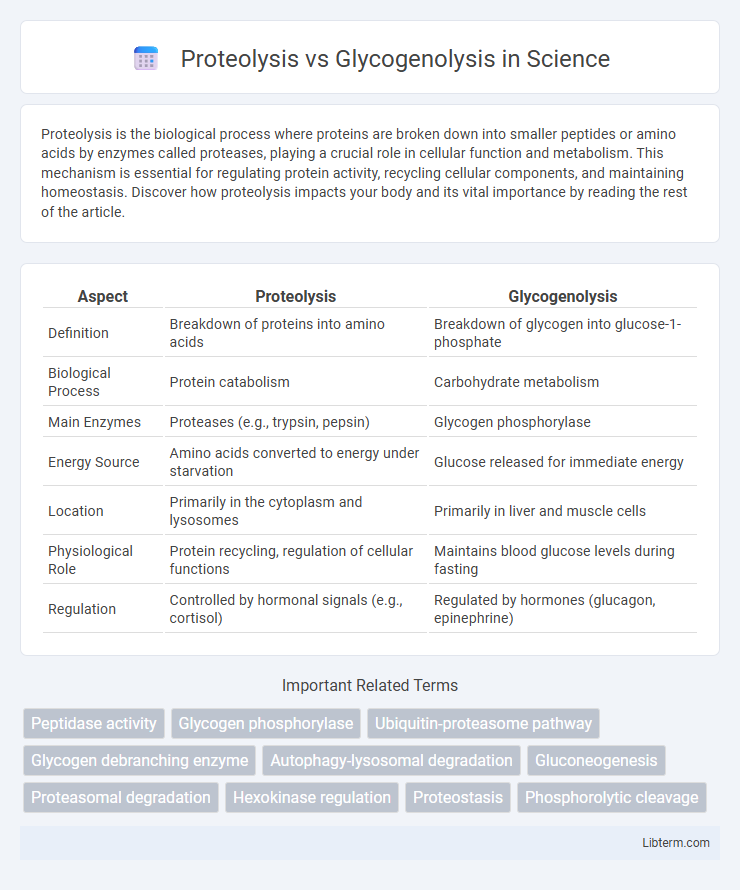 Glycogenolysis vs Proteolysis in Science - What is The Difference?