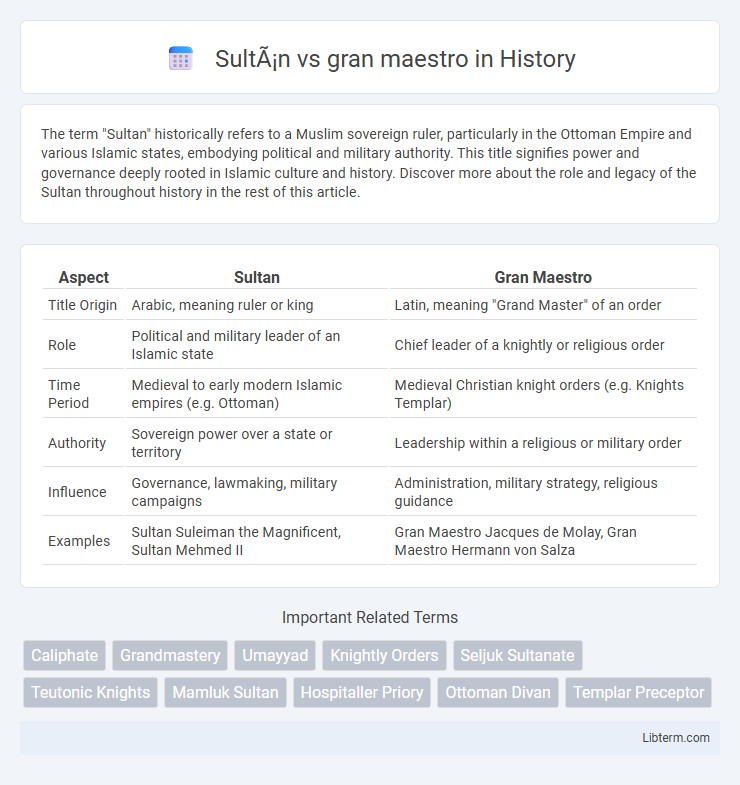 gran maestro vs Sultán in History - What is The Difference?