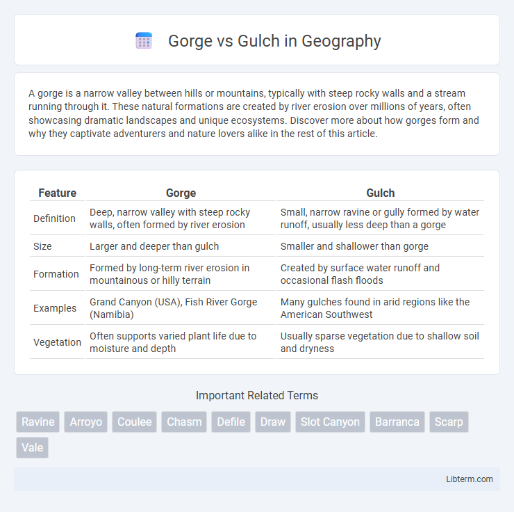 Gulch vs Gorge in Geography - What is The Difference?