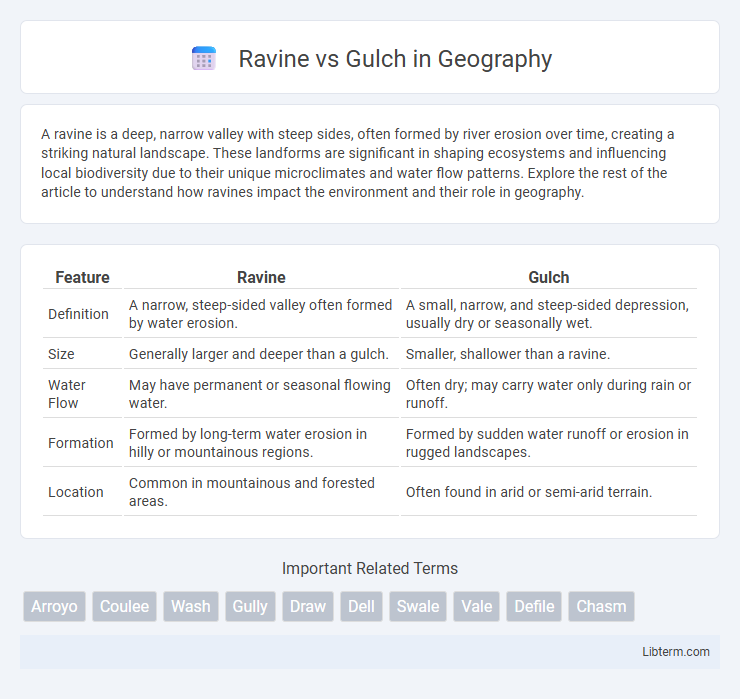 Gulch vs Ravine in Geography - What is The Difference?