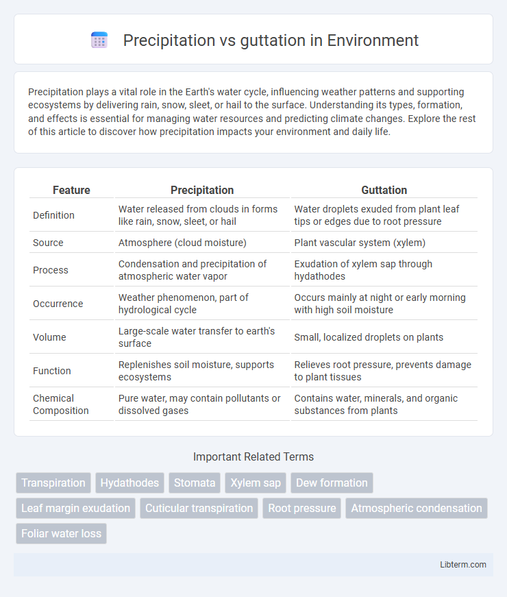 guttation vs Precipitation in Environment - What is The Difference?