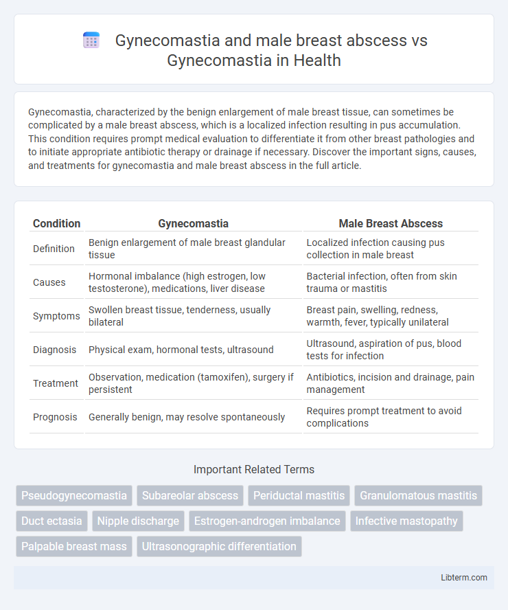 Gynecomastia vs Gynecomastia and male breast abscess in Health - What is The Difference?