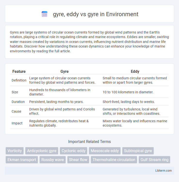 gyre vs gyre, eddy in Environment - What is The Difference?