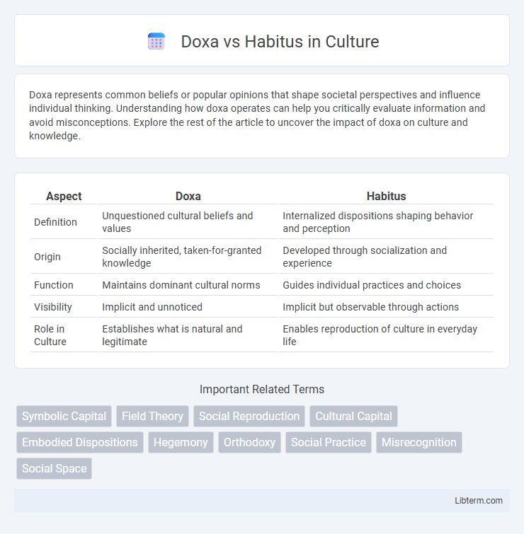 Habitus vs Doxa in Culture - What is The Difference?