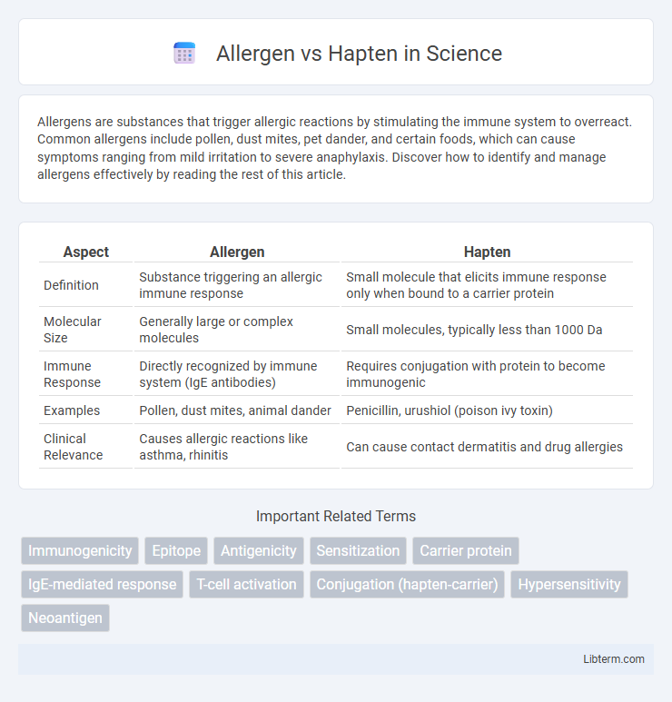 Hapten vs Allergen in Science - What is The Difference?