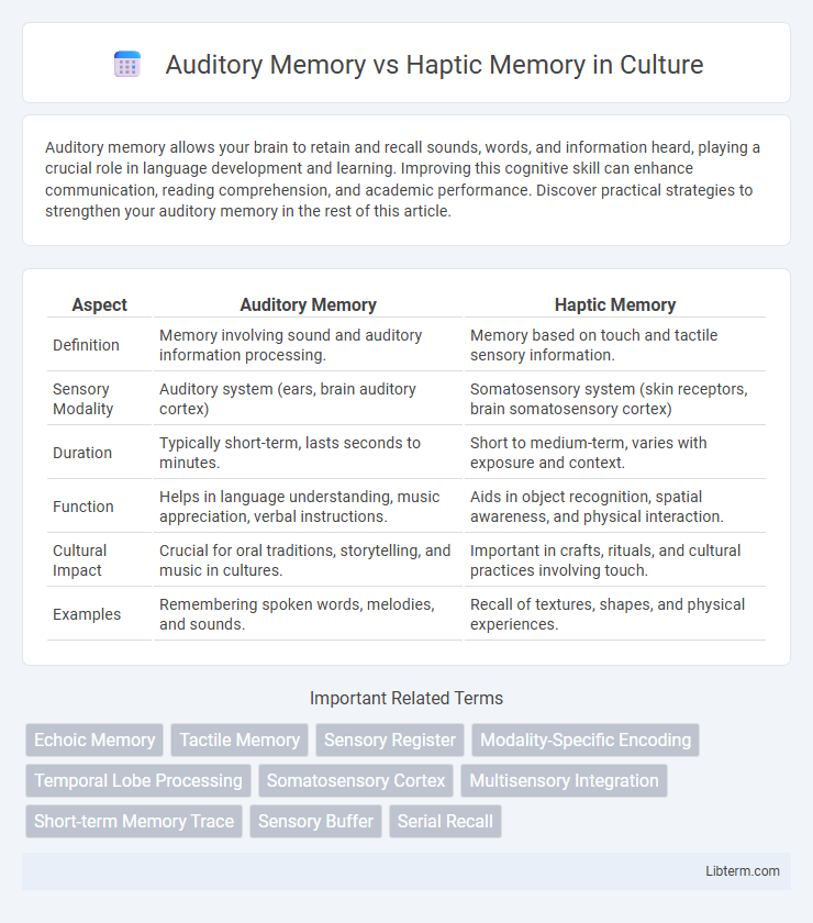 Haptic Memory vs Auditory Memory in Culture - What is The Difference?