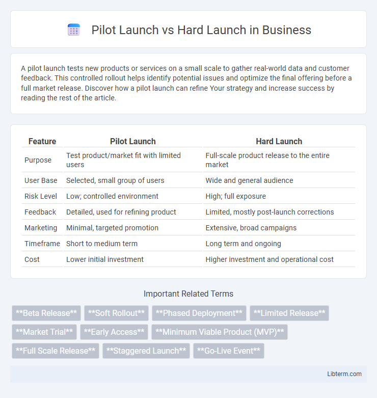 Hard Launch vs Pilot Launch in Business - What is The Difference?