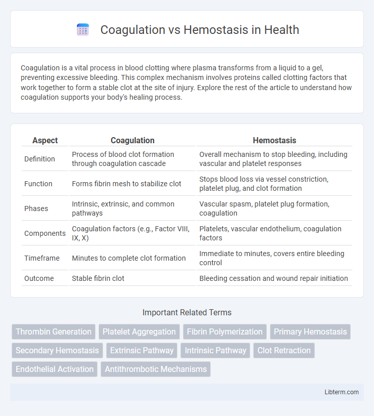 Hemostasis vs Coagulation in Health - What is The Difference?