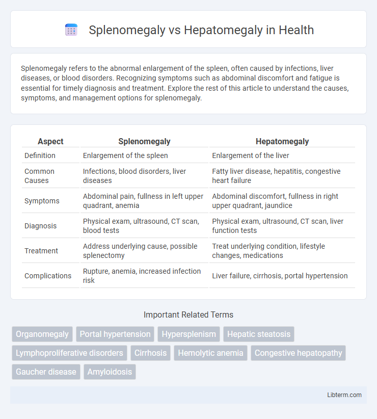 Hepatomegaly vs Splenomegaly in Health - What is The Difference?