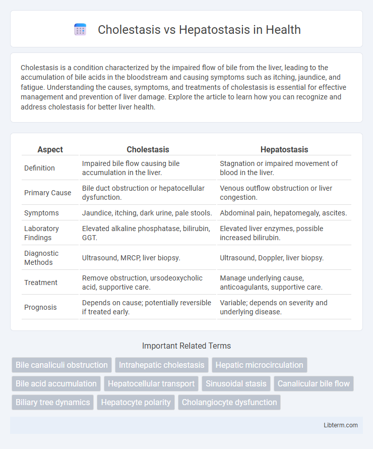 Hepatostasis vs Cholestasis in Health - What is The Difference?