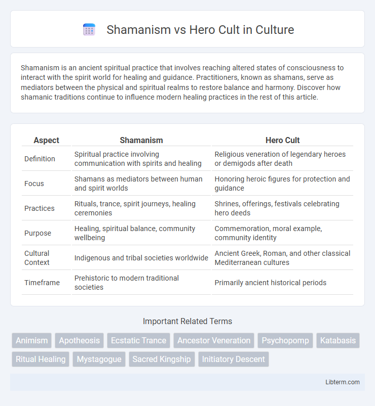 Hero Cult vs Shamanism in Culture - What is The Difference?