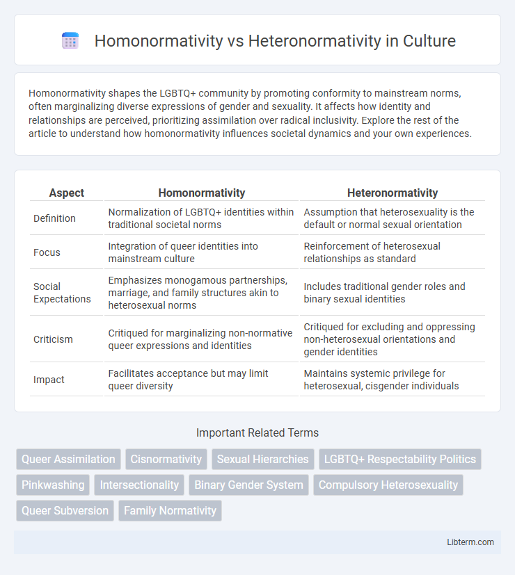 Heteronormativity vs Homonormativity in Culture - What is The Difference?