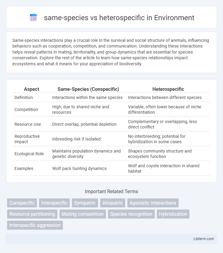 heterospecific vs same-species in Environment - What is The Difference?