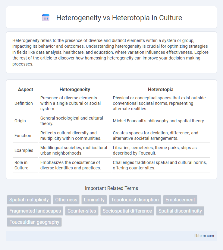 Heterotopia vs Heterogeneity in Culture - What is The Difference?