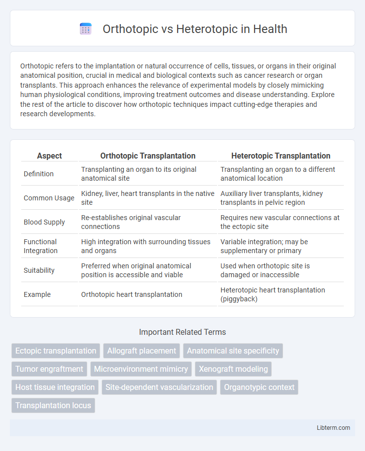 Heterotopic vs Orthotopic in Health - What is The Difference?