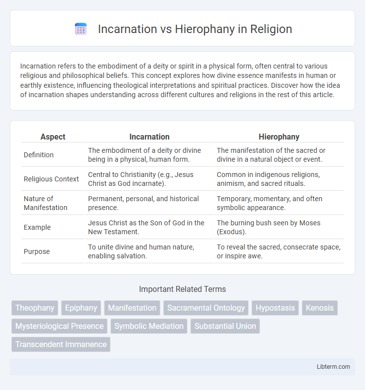 Hierophany vs Incarnation in Religion - What is The Difference?