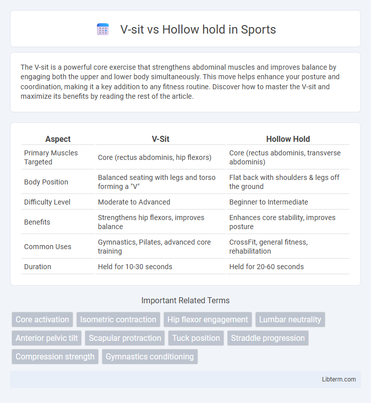 Hollow hold vs V-sit in Sports - What is The Difference?