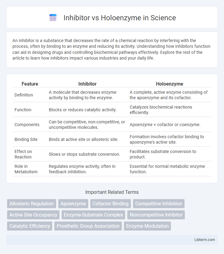 Holoenzyme vs Inhibitor in Science - What is The Difference?