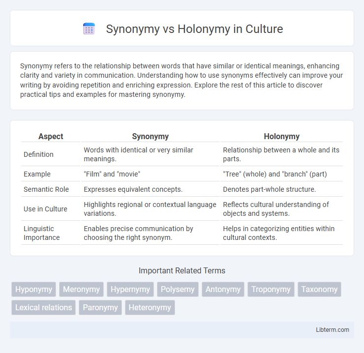 Holonymy vs Synonymy in Culture - What is The Difference?