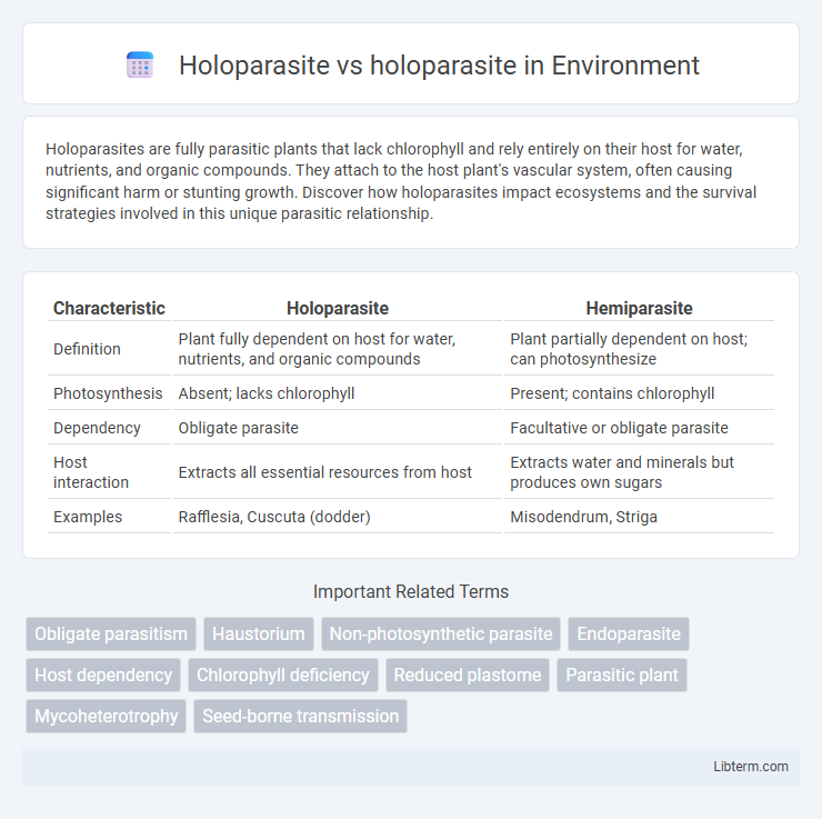 holoparasite vs Holoparasite in Environment - What is The Difference?