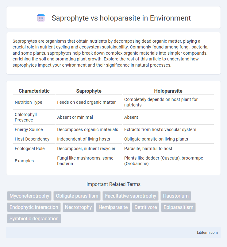 holoparasite vs Saprophyte in Environment - What is The Difference?