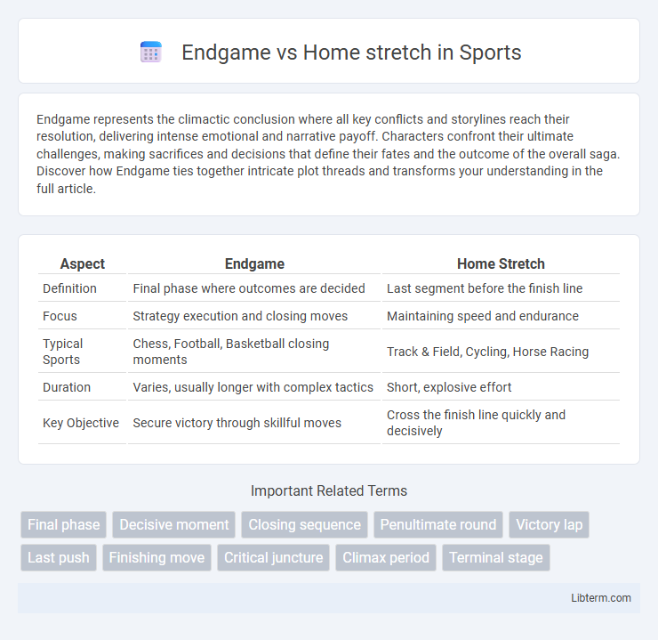 Home stretch vs Endgame in Sports - What is The Difference?