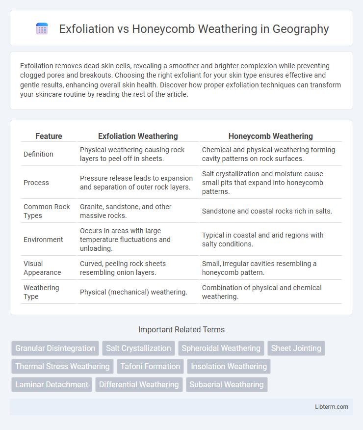 Honeycomb Weathering vs Exfoliation in Geography - What is The Difference?