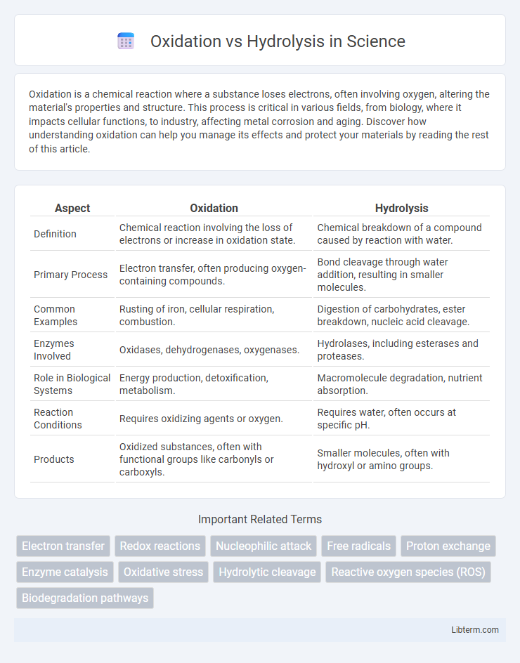 Hydrolysis vs Oxidation in Science - What is The Difference?