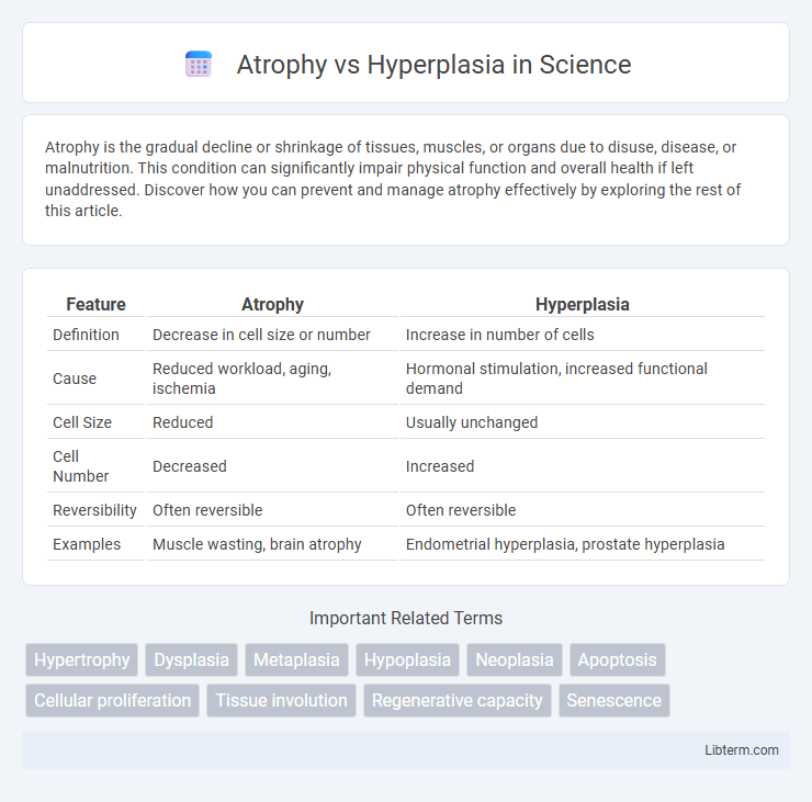 Hyperplasia vs Atrophy in Science - What is The Difference?