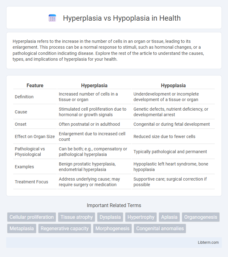 Hypoplasia vs Hyperplasia in Health - What is The Difference?