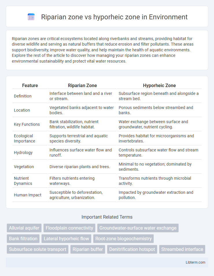 hyporheic zone vs Riparian zone in Environment - What is The Difference?