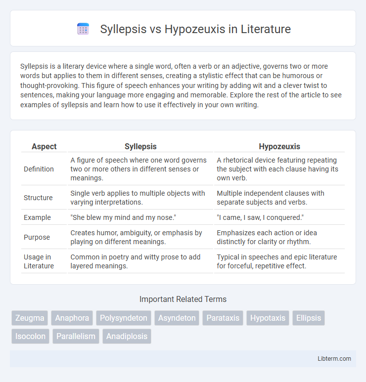 Hypozeuxis vs Syllepsis in Literature - What is The Difference?