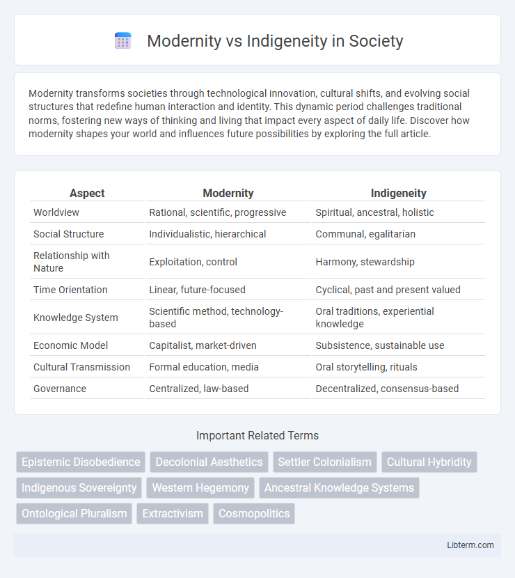 Indigeneity vs Modernity in Society - What is The Difference?