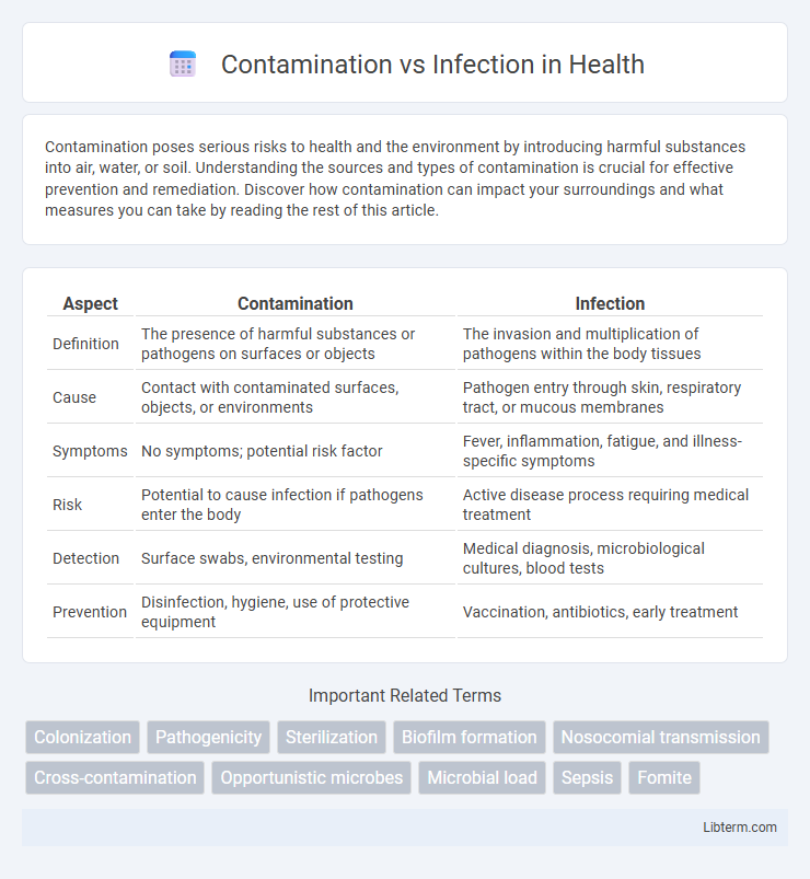 Infection vs Contamination in Health - What is The Difference?