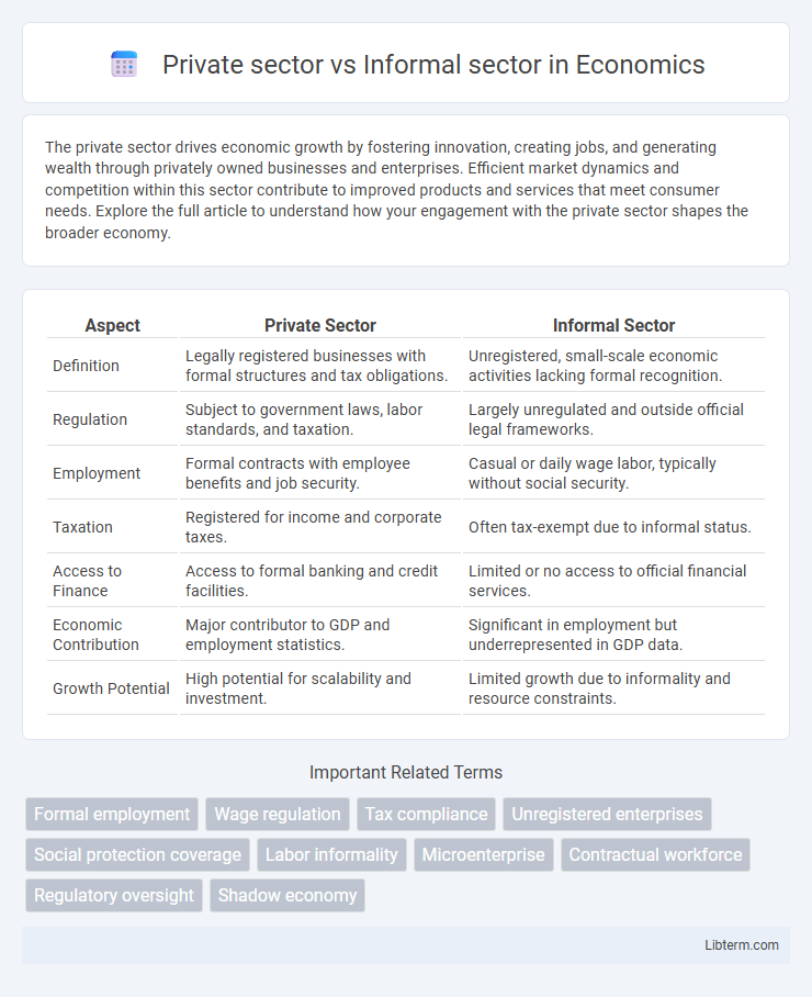 Informal sector vs Private sector in Economics - What is The Difference?