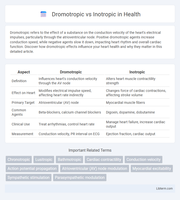 Inotropic vs Dromotropic in Health - What is The Difference?