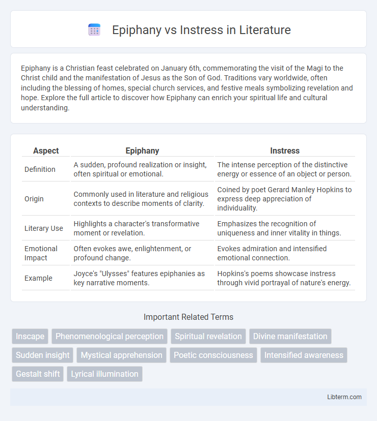 Instress vs Epiphany in Literature - What is The Difference?