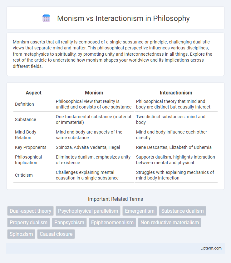 Interactionism vs Monism in Philosophy - What is The Difference?