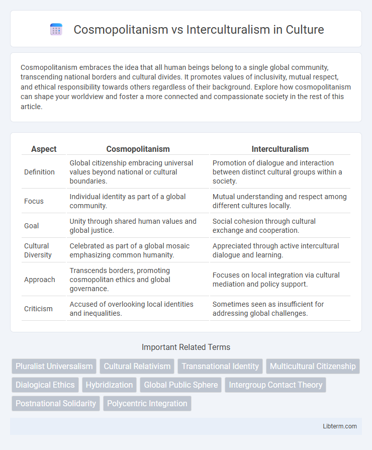 Interculturalism vs Cosmopolitanism in Culture - What is The Difference?
