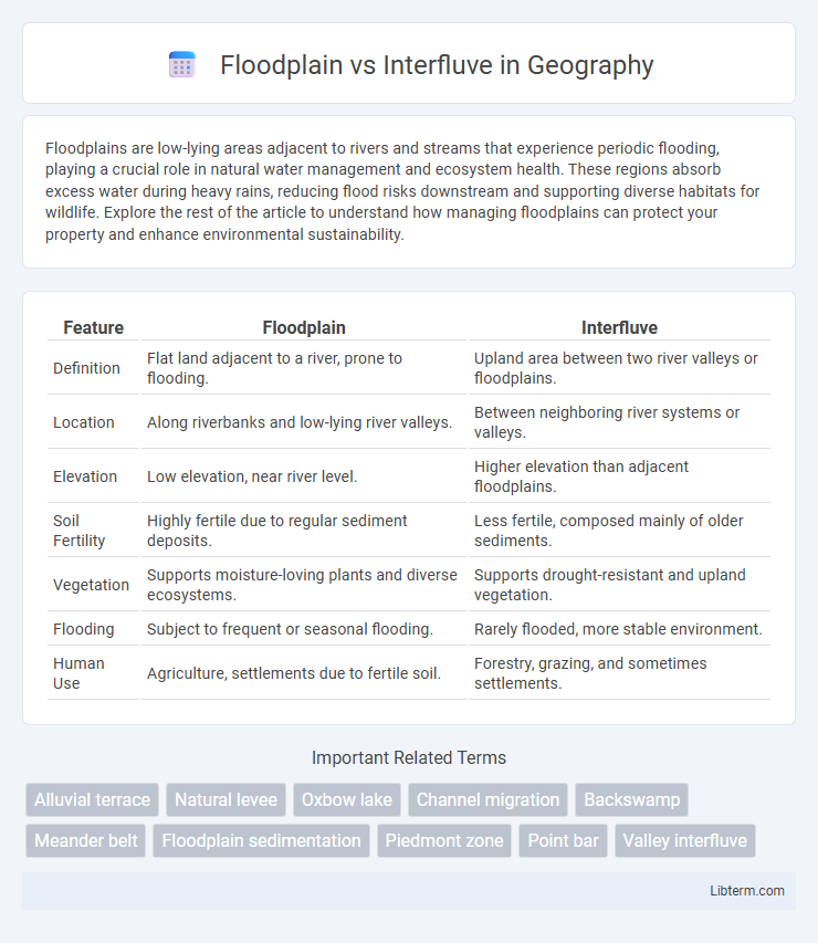 Interfluve vs Floodplain in Geography - What is The Difference?