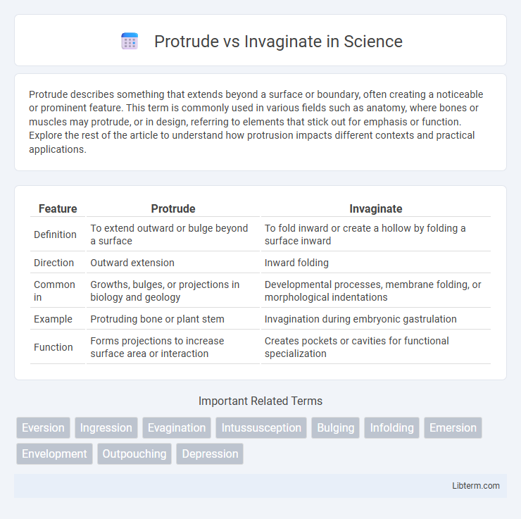Invaginate vs Protrude in Science - What is The Difference?